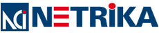 Netrika Consulting